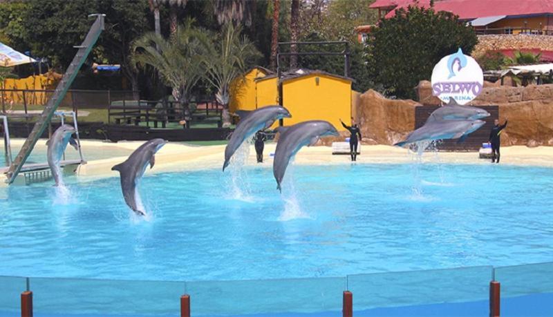 Paseo Maritimo Los Boliches. Fuengirola Exteriör bild